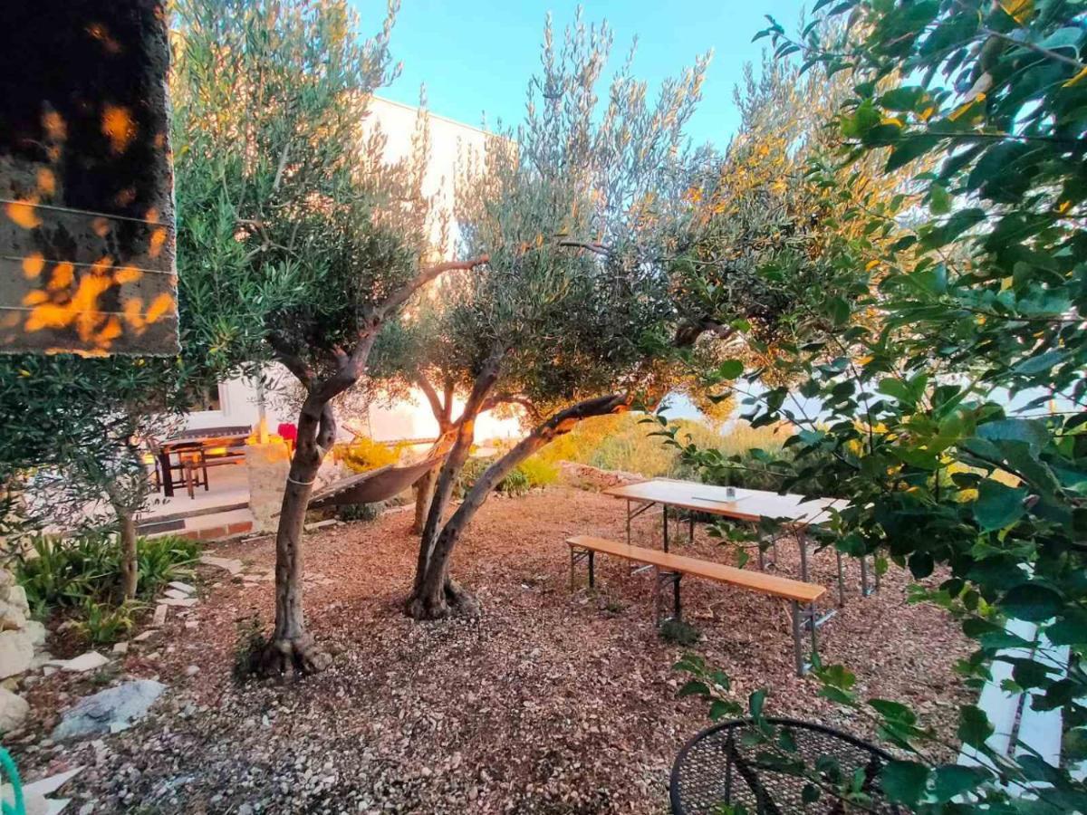 Apartment Croatia Art Drašnice Eksteriør billede